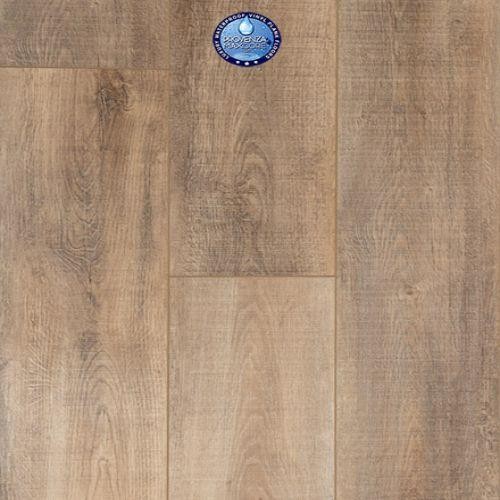 Moda Living Coco Classic by Provenza Floors in Tucson - Complete Flooring