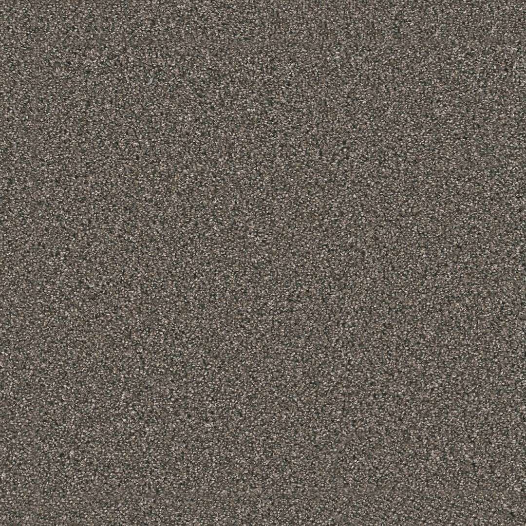Pure Color Carpet Rugby Color Windy City III Rugby by Dream Weaver in San Diego - America's Finest Carpet