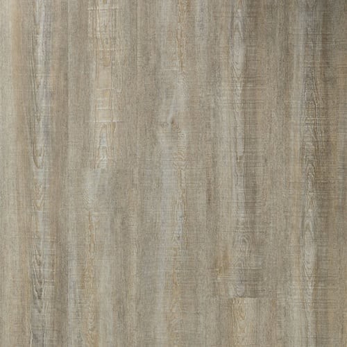 Pollux Amaryllis by Windlass Collection in Newport, RI - Rene & Son ...