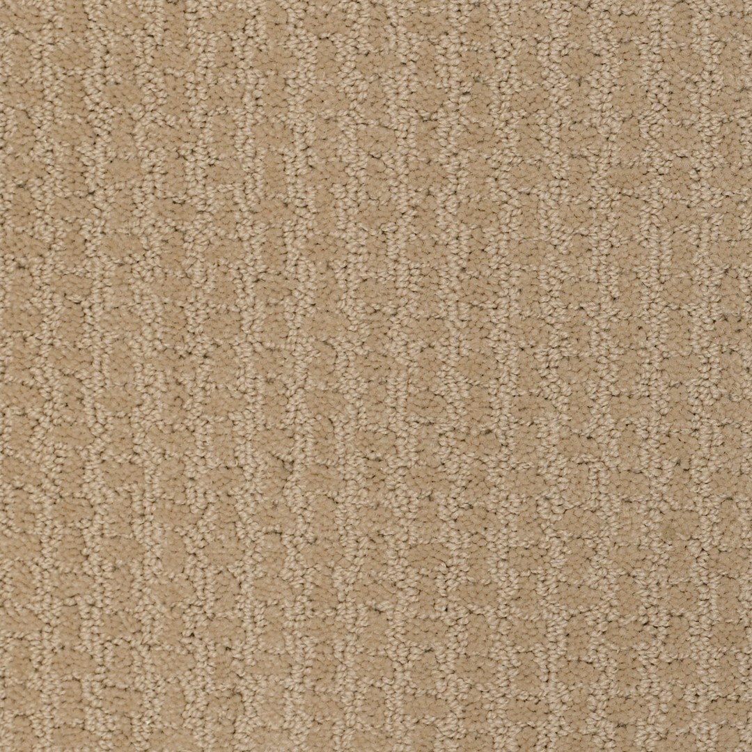 Activate Azure by Shaw Floors in Ft Worth, TX - Rosedale Carpet