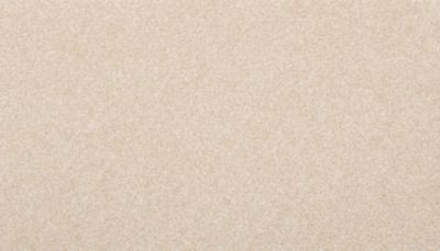 Zestful Traits I Sheepskin by Mohawk Flooring in Palm Beach County