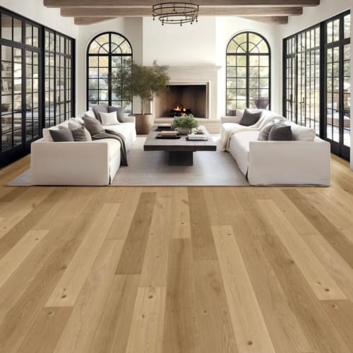 Sea Harbor Collection Oat Latte by Nuvelle in West Palm Beach, FL