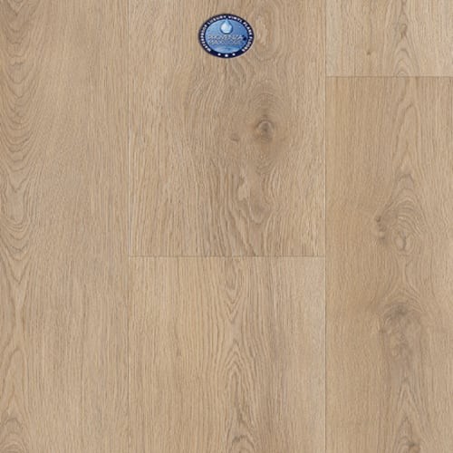 Moda Living Elite Bravo by Provenza Floors in Buckeye, AZ - Phoenix ...