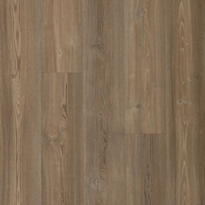 Mochocino Pine