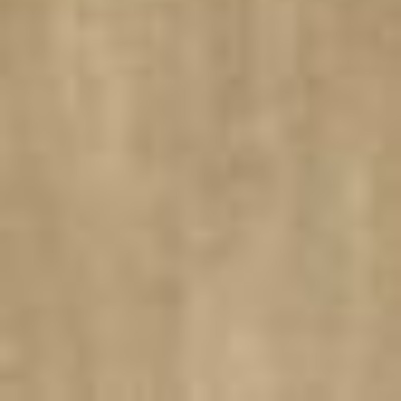 Woodsense Ragno Woodsense Beige Grip Rt-20x120 by Ragno USA in Shelby Township, and ...